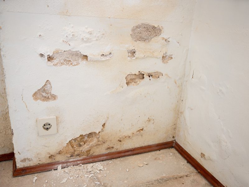 wall with heavy water damage, Efflorescence on the plaster due to rising damp