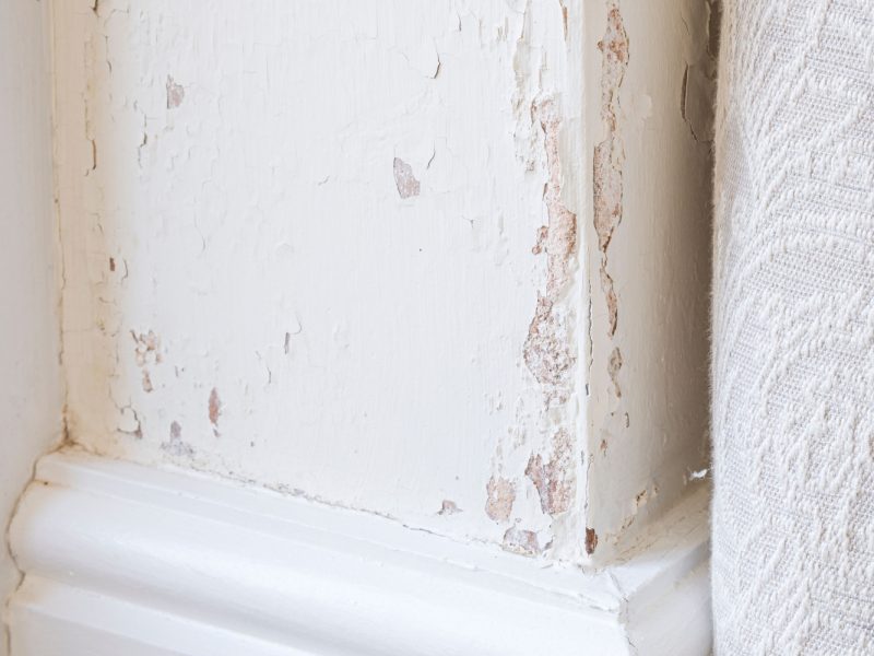 Damp penetration (rising damp) in a solid brick wall causing peeling paint. UK home interior.